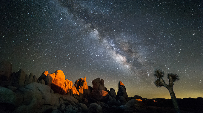 Joshua Tree National Park on a starry night