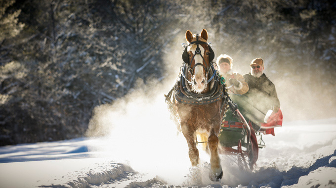 People riding through the snow in a horse-pulled carriage.
