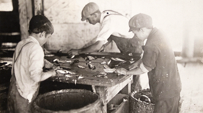 Back in the day, boys worked in an Eastport, Maine, sardine cannery. | Photo by Hi-Story/Alamy Stock Photo
