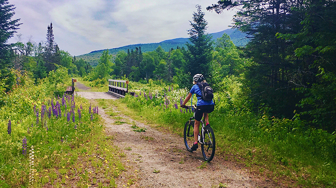 Cycling New Hampshire’s Presidential Rail Trail, you’ll spot springtime lupines in full bloom and enjoy views of the Presidential Range. | Photo by Marianne Borowski