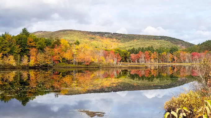 Ingalls Pond