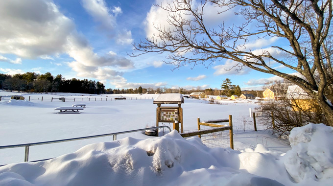 Behind the Remick Country Doctor Museum & Farm in Tamworth, New Hampshire, which offers insights into early rural living.