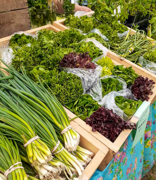 Bundles of green onions, lettuce, and green beans for sale