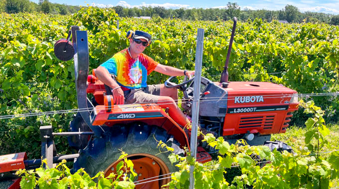 A man on a tractor in a vineyard