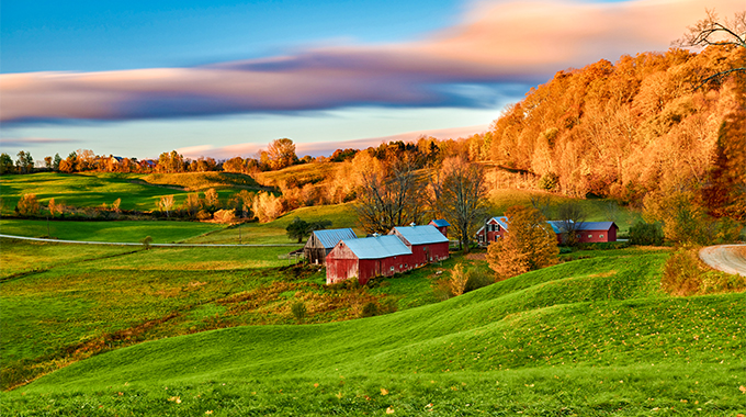 Jenne Farm