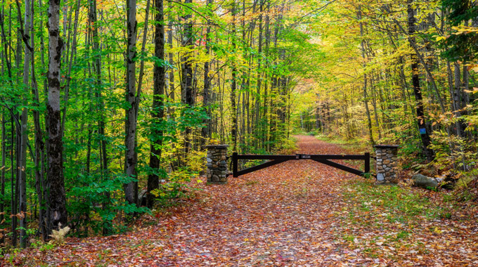 Explore one of the many trails in Groton State Forest to see nature’s autumn display at its best. | Photo by Craig Zerbe/stock.adobe.com