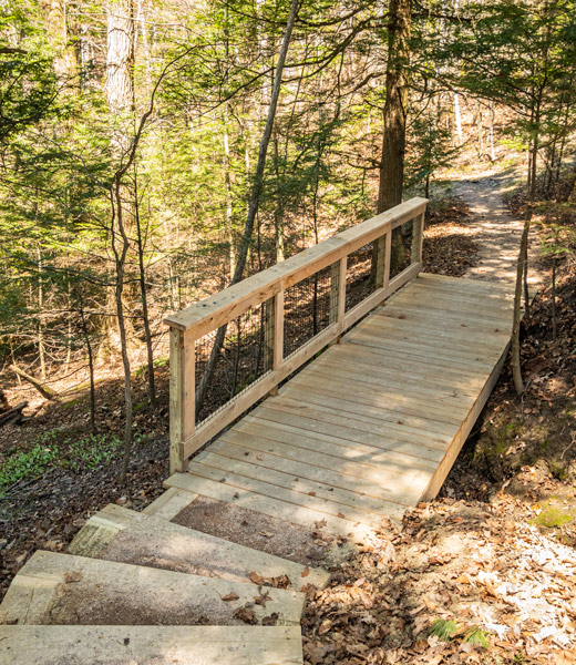 You don’t have to travel far from the city to enjoy the fall foliage in Vermont. The trails at Rock Point are just a few miles from downtown Burlington. | Photo by Gerry Davis