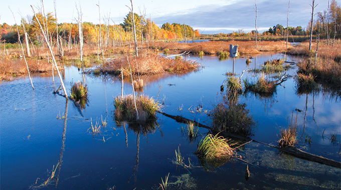 A watery wilderness of ponds, bogs, streams, and creeks attracts migratory waterfowl at the 6,729-acre Missisquoi National Wildlife Refuge. | Photo Courtesy Ken Sturm/U.S. Fish and Wildlife Service 