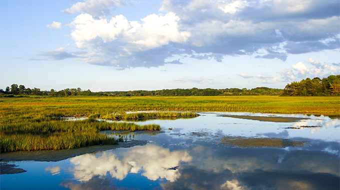 Established in 1966, the Rachel Carson National Wildlife Refuge spreads along 50 miles of coastline in southern Maine. It will contain approximately 14,600 acres when land acquisitions are completed. | Photo by Nance Trueworthy/stock.adobe.com