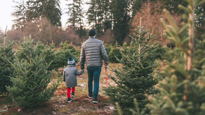 Father and child holding hands while walking through a Christmas tree farm