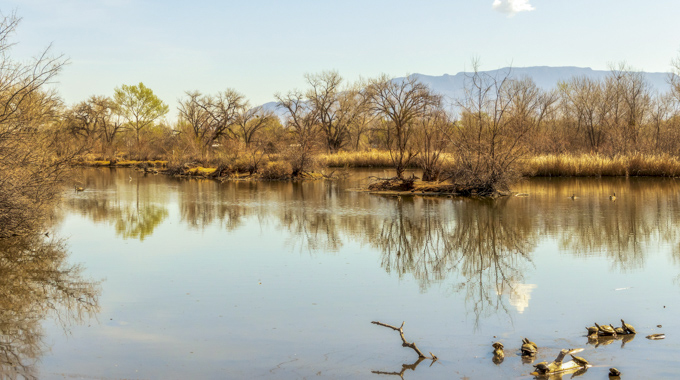 Rio Grande Nature Center State Park