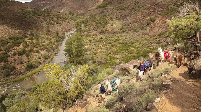 Llamas provide support for hikers as they make their way along the narrow Rio Grande Gorge.