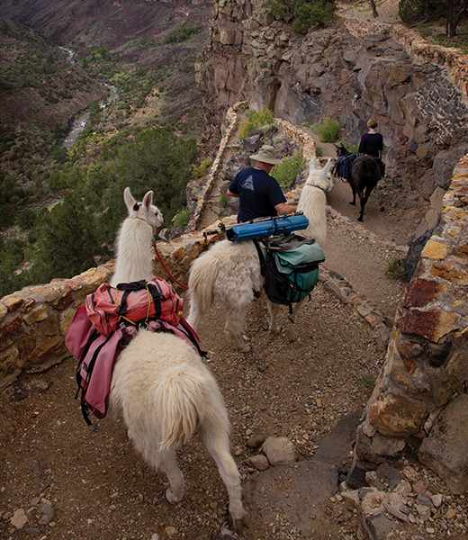 The trail is narrow and windy and crumbly.