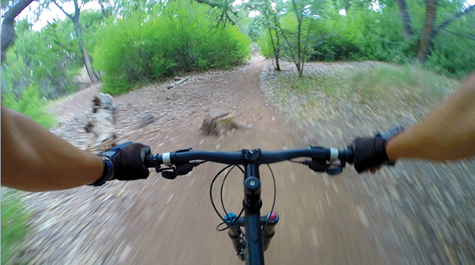 The Bosque Trail near Corrales is a moderate trail that travels along a river. | Photo by Steve Larese