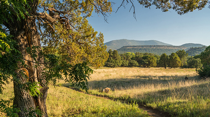 A National Historic Landmark, the Fort Bayard Trail System was established in 1866 by the U.S. Army to protect miners and settlers. | Photo by Laurence Parent