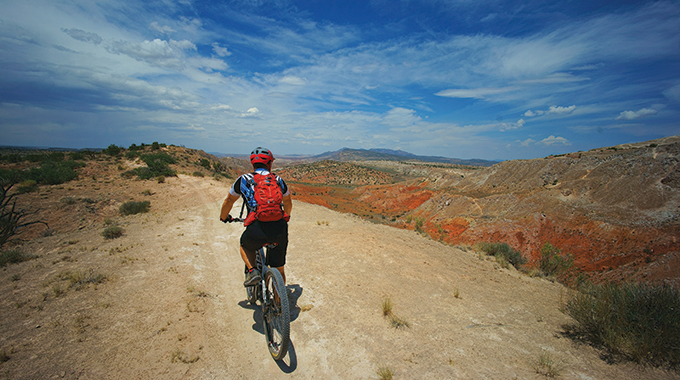 See wildflowers and spectacular rock formations along the White Mesa Trail System in San Ysidro. | Photo by Steve Larese