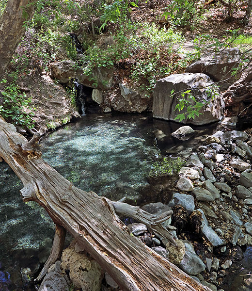 Jordan Hot Springs, Gila National Forest