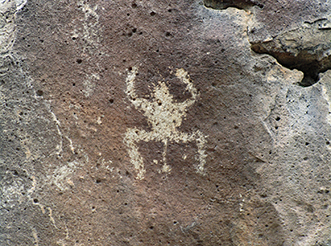 Tadpoles and frogs may represent fertility, transformation, or the return of water.