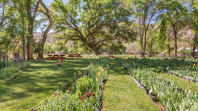 Hondo Iris Farm and Gallery in Hondo. | Photo by BHammond/Alamy Stock Photo