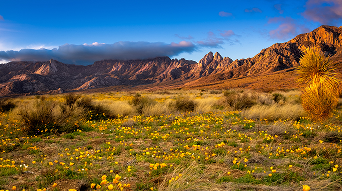 Organ Mountains–Desert Peaks National Monument in Las Cruces