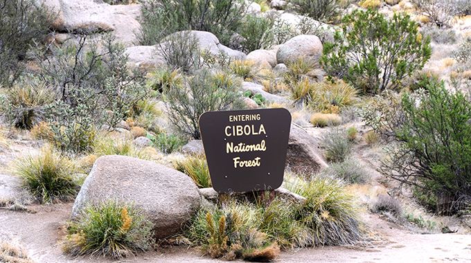 Cibola National Forest is at the base of the Sandia Mountains. | Photo bonita/stock.adobe.com