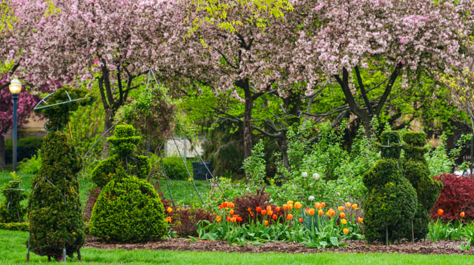 Blooming flower surrounded by topiaries shaped like people