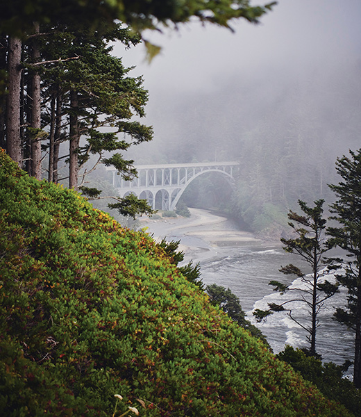 Heceta Head