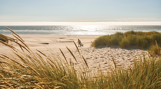 Nehalem Beach