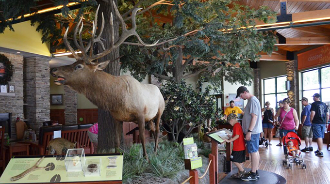 elk country visitors center