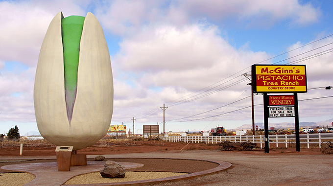 The world's largest pistachio statue in New Mexico