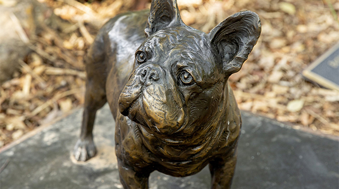 Visitors to the Vogel Schwartz Sculpture Garden will happen upon “Boris,” a bronze French bulldog by Daniel Glaz, among the park’s 90 sculptures. | Photo courtesy Little Rock Convention & Visitors Bureau