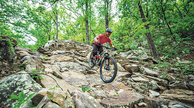 Mountain biker on a Mount Nebo State Park trail