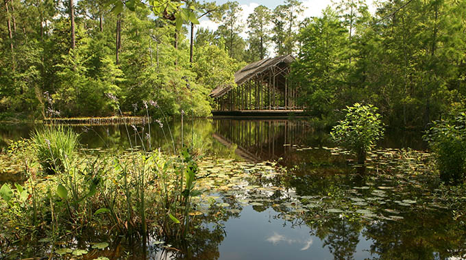 Crosby Arboretum, Picayune, Mississippi