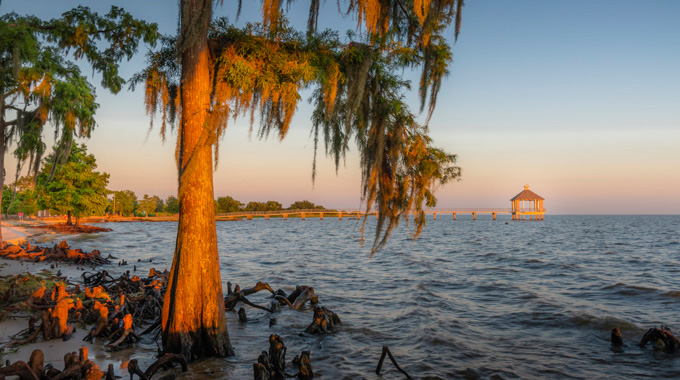 Sunset casting a warm glow over a tree in the foreground and a pier in the background