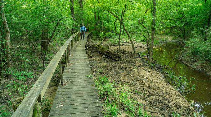 Trek through the Big Slough boardwalk at the Davy Crockett National Forest in Kennard. | Photo by Laurence Parent/Laurence Parent Photography