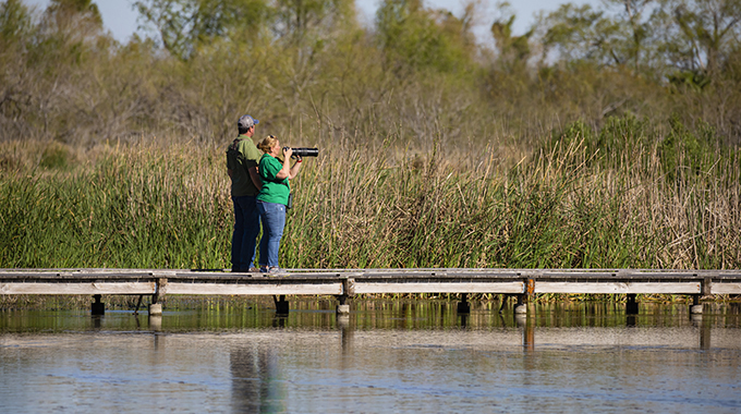 Birders on the boardwalk at Estero Llano Grande State Park in Weslaco. | Photo by Larry Ditto/Larry Ditto Nature Photography
