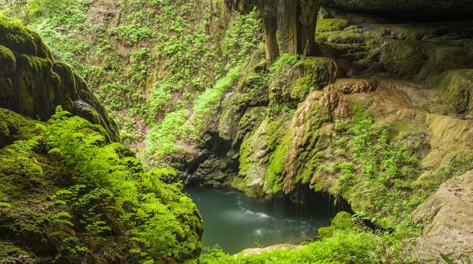 A grotto with a small waterfall, ferns, and moss at Westcave Outdoor Discovery Center in Round Mountain. | Photo by Laurence Parent/Laurence Parent Photography