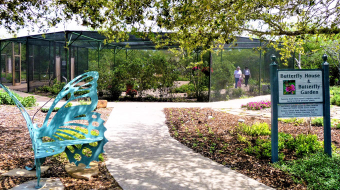 The Butterfly House & Butterfly Garden at South Texas Botanical Gardens & Nature Center.