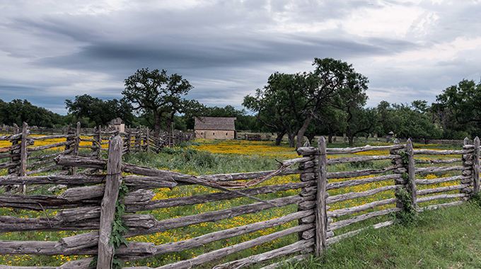 Hill Country wildflowers blanket the field in front of the former president’s boyhood home, which is preserved at the Lyndon B. Johnson National Historical Park in Johnson City. | Photo by Alamy Stock Photo