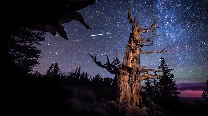 The Milky Way can be easily seen in Great Basin National Park. | Photo by Kelly Carroll/www.greatbasinimages.com