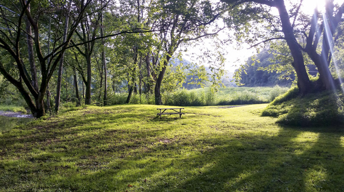 The grounds at Clinch River Family Campground 