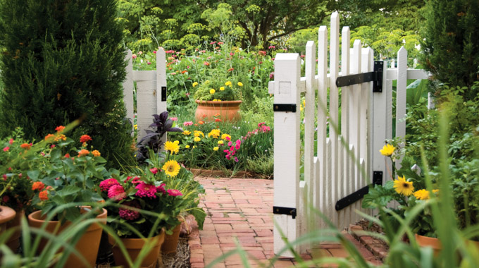 White gate ajar in a garden