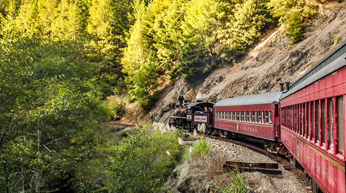 The Skunk Train