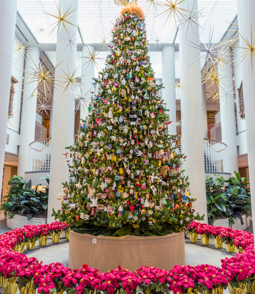 A large Christmas tree covered with ornaments and surrounded with poinsettias