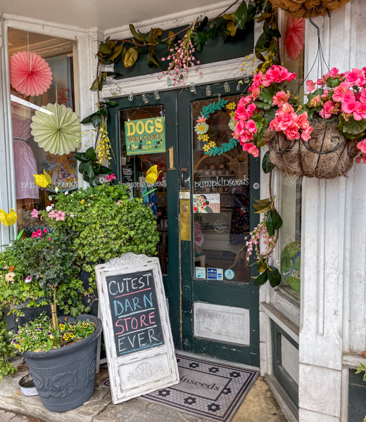 Sign welcomes visitors to Pumpkinseeds, the "cutest darn store ever."