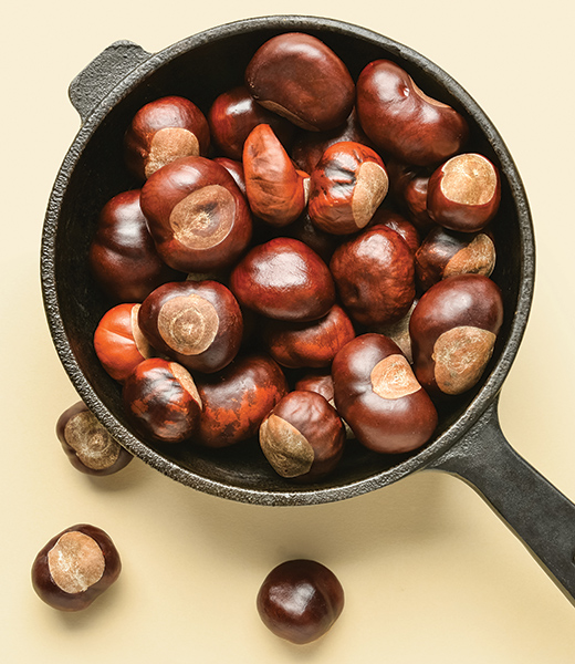 Virginia chestnuts in a cast-iron pan