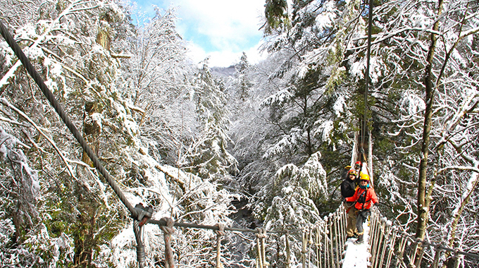 Treetops Zipline Canopy Tour at Adventures on the Gorge