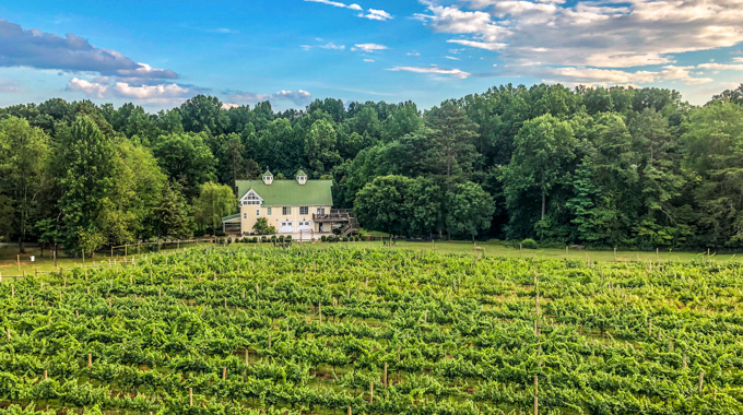 The combination vineyard/brewery on the family estate of explorer Meriwether Lewis sleeps up to 14 and offers gorgeous views and trails to the woods, ponds, and a lake. | Photo courtesy Meriwether Springs