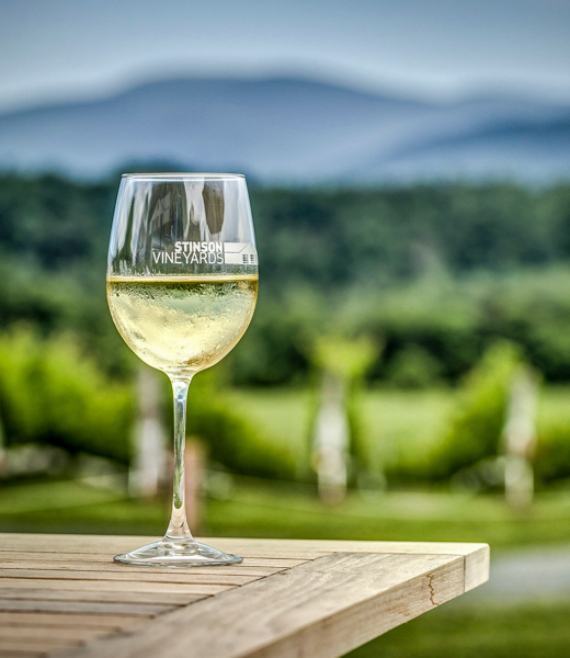 Stinson Vineyards’ European-influenced wines are paired with amazing views of the Blue Ridge Mountains. | Photo by Thomas McGovern