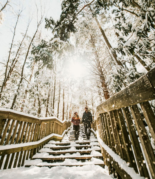 Couple descending a stairway at Blackwater Falls State Park